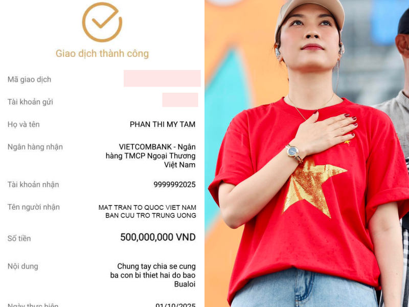 Trường Giang, Mỹ Tâm, vợ chồng Trấn Thành và dàn sao chung tay quyên góp khắc phục hậu quả bão lũ - Ảnh 3.