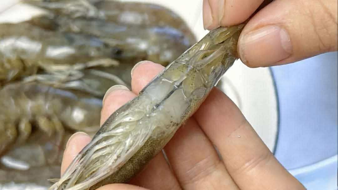 Có nên bỏ chỉ tôm không? Một ngư dân 60 tuổi xua tay &quot;đừng làm thế nữa, chưa đủ đâu!&quot; - Ảnh 3.