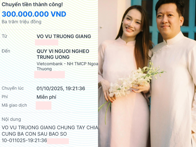 Trường Giang, Mỹ Tâm, vợ chồng Trấn Thành và dàn sao chung tay quyên góp khắc phục hậu quả bão lũ - Ảnh 1.