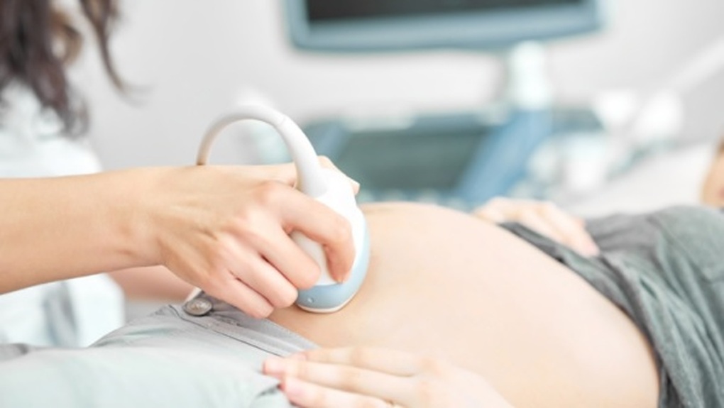 Từ hôm nay, phụ nữ độc thân có quyền đông lạnh trứng, làm IVF để sinh con: Điều kiện là gì?- Ảnh 1.