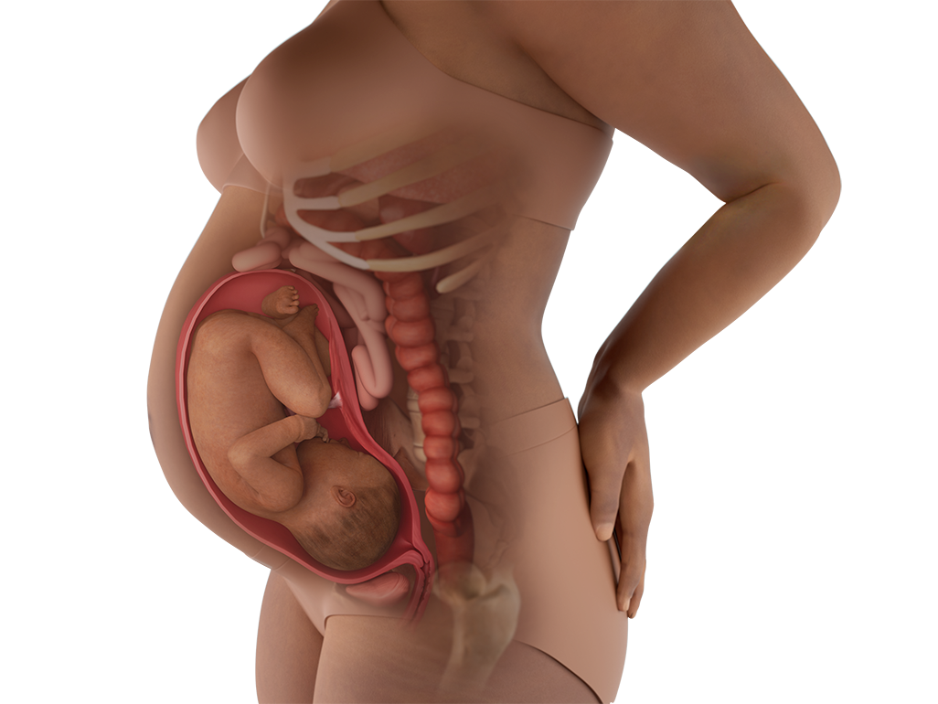 32-body-e-deeptan-4x3-1760088644012536257081-1760111202503-1760111202688237071633.png