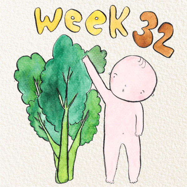 32-weeks-pregnant-pregnancy-week-by-week-17600888957801673237399-1760111208646-17601112088961873396229.gif