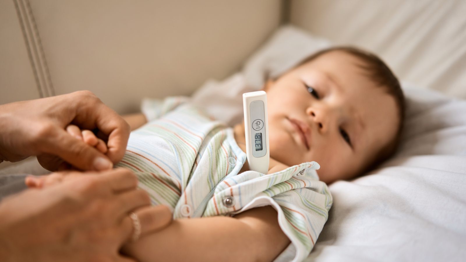 Mưa bão và ngập úng tăng nguy cơ bùng phát dịch sốt xuất huyết: Mẹ tuyệt đối không tự ý hạ sốt cho con bằng cách này!- Ảnh 2. Mưa bão và ngập úng tăng nguy cơ bùng phát dịch sốt xuất huyết: Mẹ tuyệt đối không tự ý hạ sốt cho con bằng cách này!- Ảnh 2.