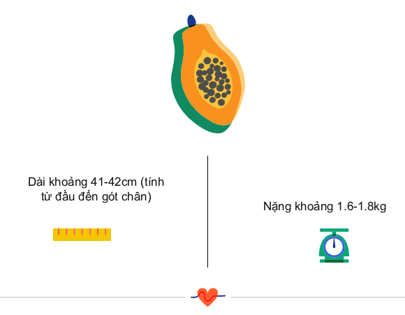 tuan-32-17600885375861870304058-1760111201773-1760111201920811581441.jpg