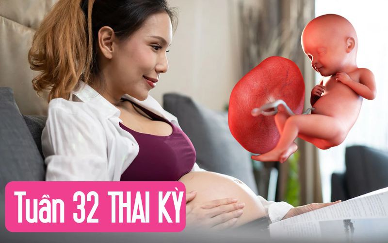 Tuần thai thứ 32: Bé yêu chuẩn bị quay ngôi thai, mẹ có thể đau lưng dưới nặng hơn