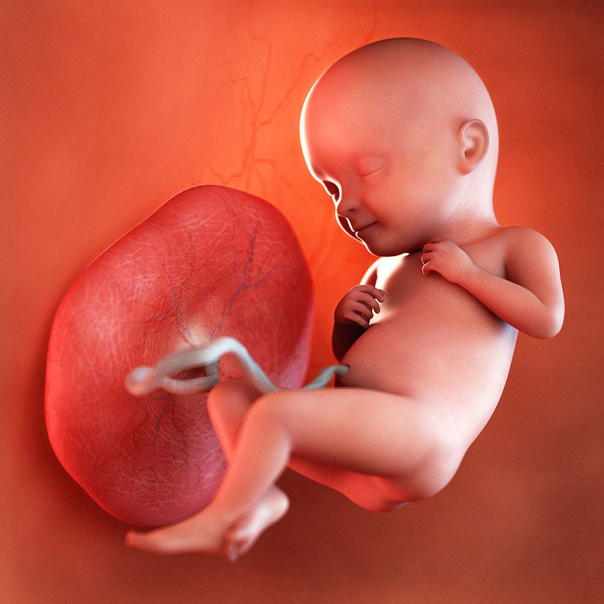 wbw-your-baby-2021-alt-w32-1200x1200-17600888005721956640410-1760111204498-17601112047051763704192.jpg