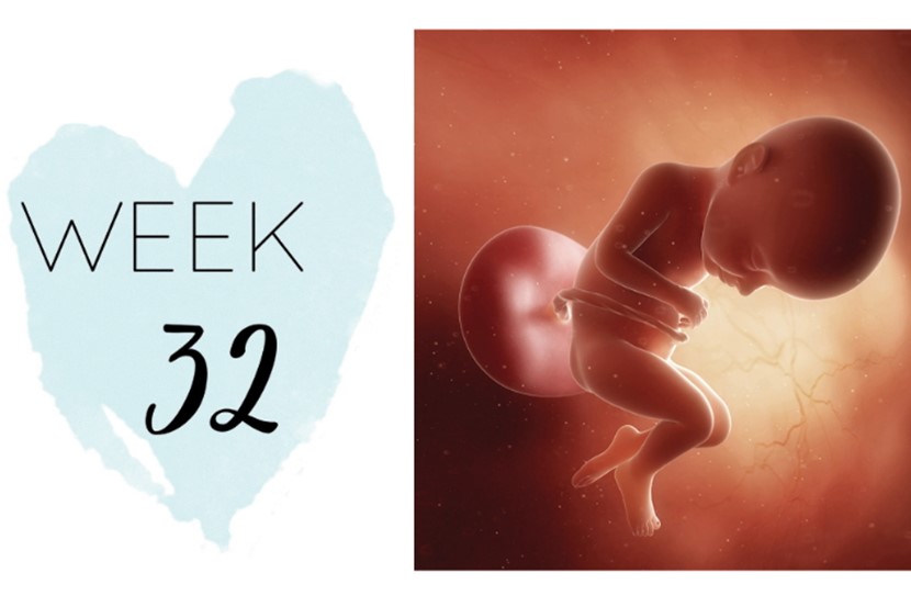 week-32-1760088874363837714054-1760111207238-1760111207585856636338.jpg