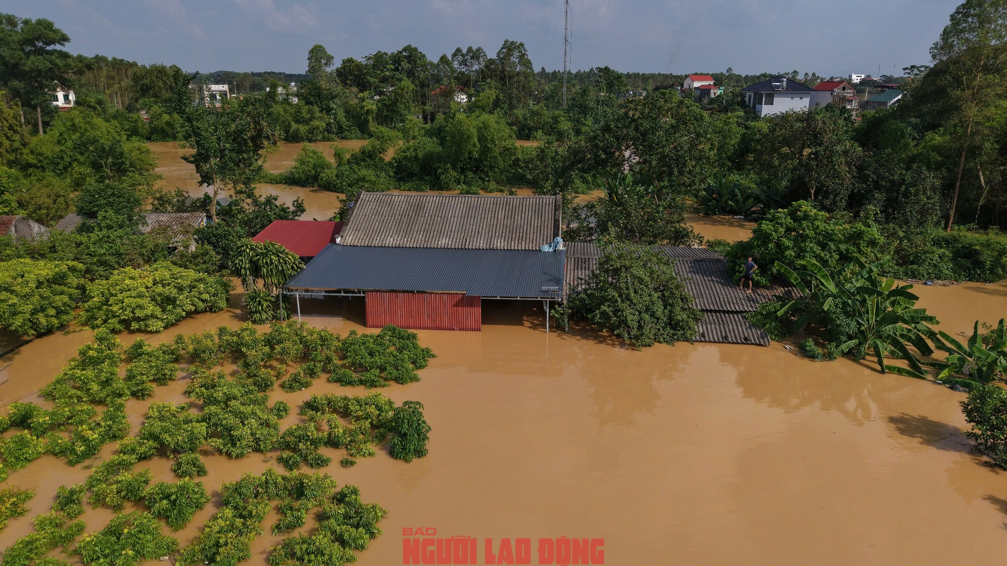 Ngập lụt kinh hoàng ở Tiên Lục Bắc Ninh , người dân sống trên mái nhà - Ảnh 9. Ngập lụt kinh hoàng ở Tiên Lục Bắc Ninh , người dân sống trên mái nhà - Ảnh 9.