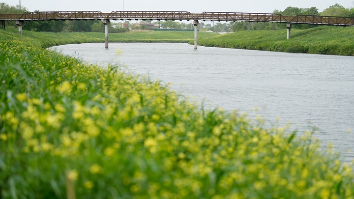 Cảnh sát Mỹ bất ngờ phát hiện hàng loạt thi thể trôi trên sông ở Texas: Chuyện gì đã xảy ra? - Ảnh 1. Cảnh sát Mỹ bất ngờ phát hiện hàng loạt thi thể trôi trên sông ở Texas: Chuyện gì đã xảy ra? - Ảnh 1.
