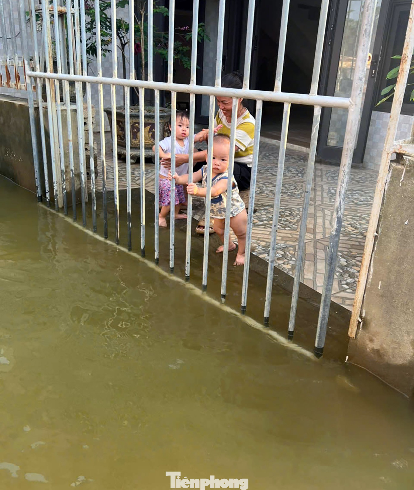 Những ngôi nhà trong biển nước ở ngoại thành Hà Nội - Ảnh 13. Những ngôi nhà trong biển nước ở ngoại thành Hà Nội - Ảnh 13.