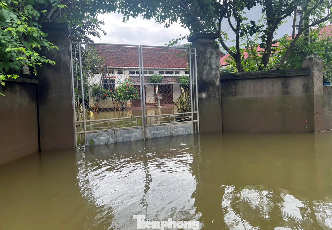 Những ngôi nhà trong biển nước ở ngoại thành Hà Nội - Ảnh 9. Những ngôi nhà trong biển nước ở ngoại thành Hà Nội - Ảnh 9.