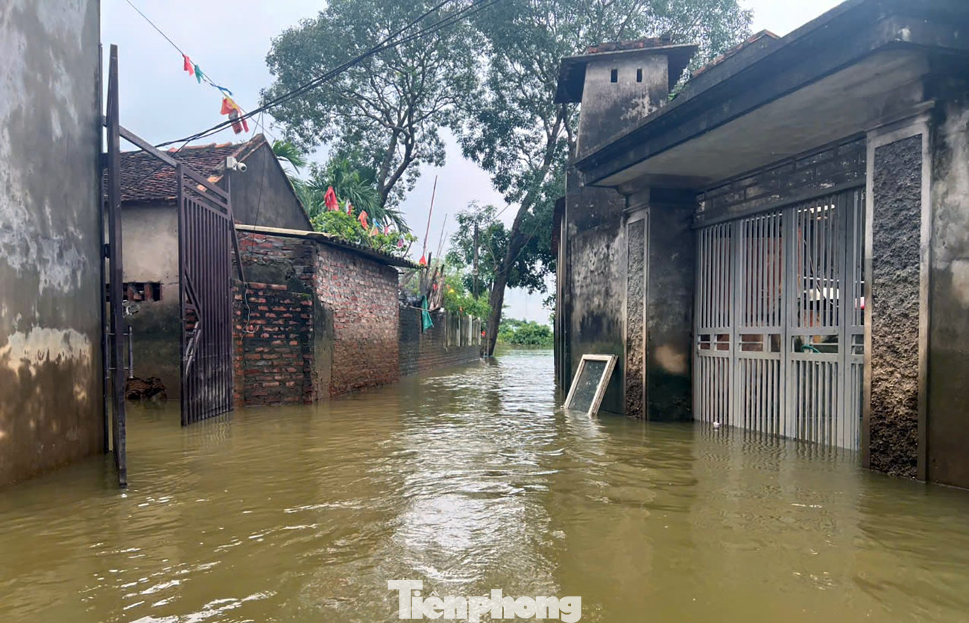 Những ngôi nhà trong biển nước ở ngoại thành Hà Nội - Ảnh 4. Những ngôi nhà trong biển nước ở ngoại thành Hà Nội - Ảnh 4.