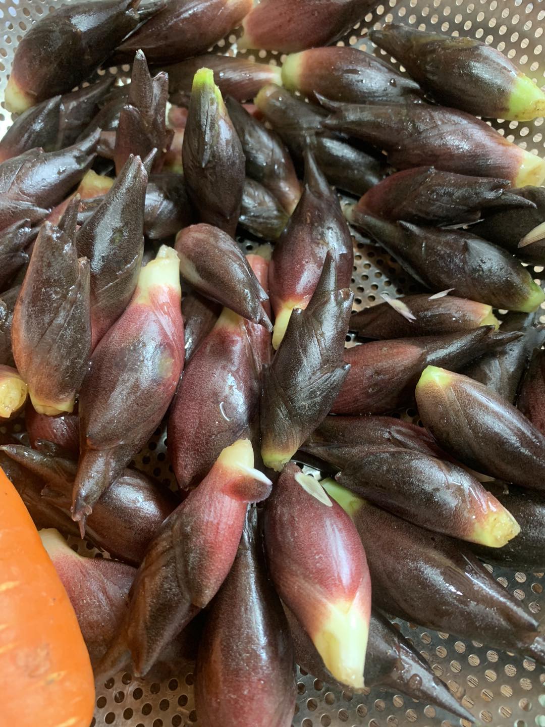 Không chỉ có mùa vàng rực rỡ, nơi này còn cất giấu 