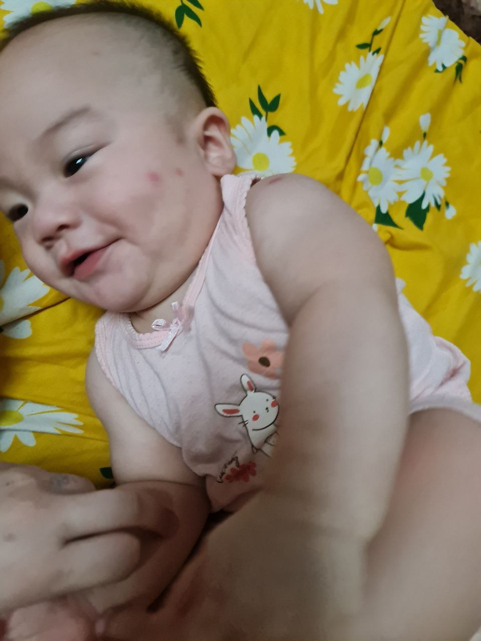 Check khăn ướt xua muỗi Bobby Antimos: Món “must-have” trong túi mẹ bỉm mùa mưa ẩm này- Ảnh 5.