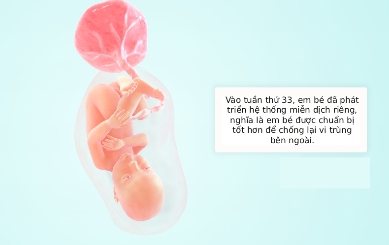 Tuần thai thứ 33: Bé đã chuyển ngôi đầu, mẹ bầu có thể bị phù tay chân- Ảnh 5. Tuần thai thứ 33: Bé đã chuyển ngôi đầu, mẹ bầu có thể bị phù tay chân- Ảnh 5.