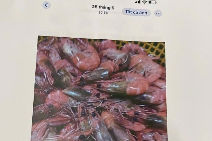 Vụ dân tố 'thực phẩm bẩn' tuồn vào trường học: Tiếp tục đình chỉ công tác hiệu trưởng - Ảnh 2.
