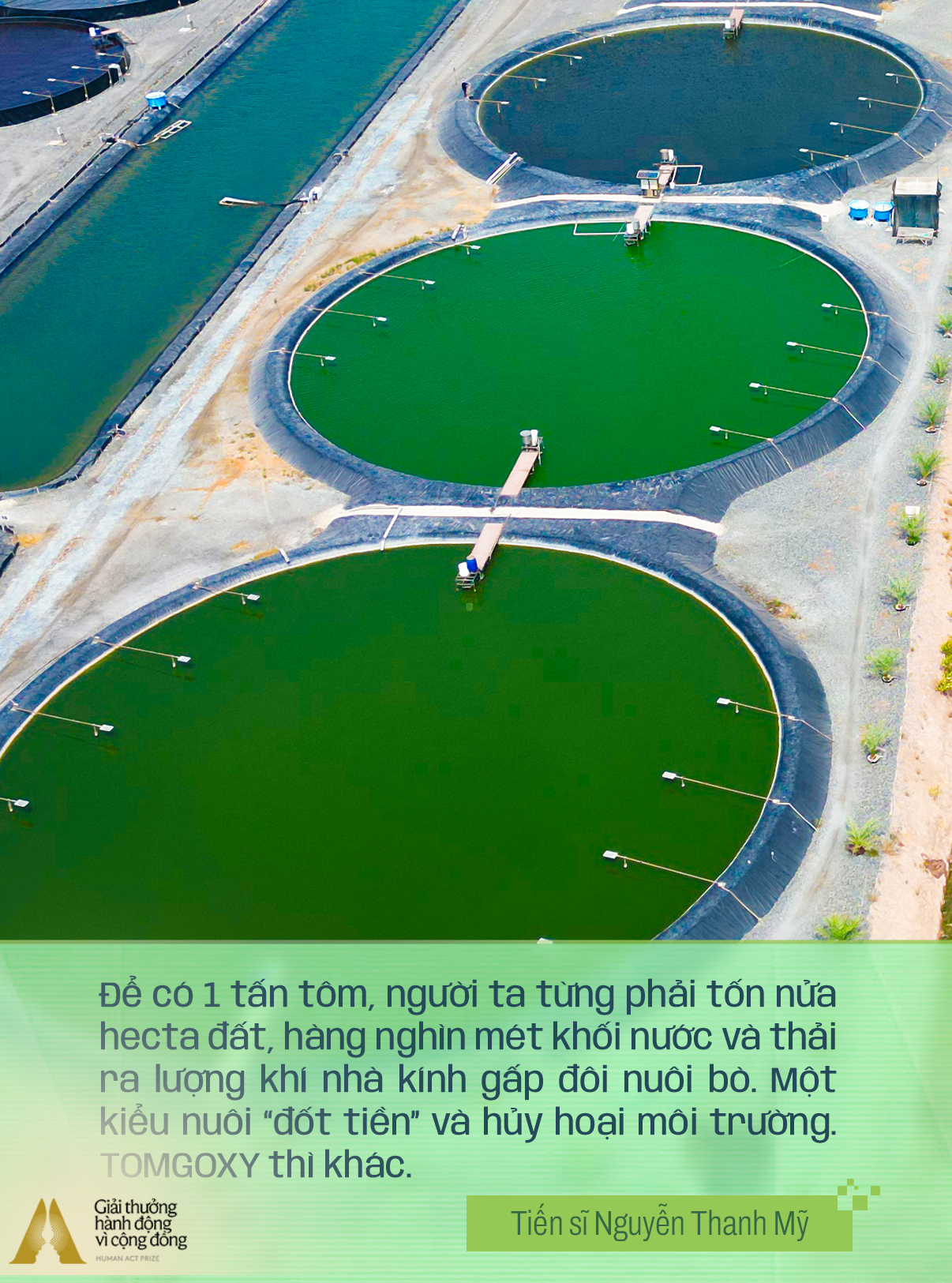 Doanh nhân Việt chọn trở về làm "kẻ khờ khạo": Biết chắc nông dân sẽ thua mà không giúp được, đau lắm chứ!- Ảnh 4. Doanh nhân Việt chọn trở về làm "kẻ khờ khạo": Biết chắc nông dân sẽ thua mà không giúp được, đau lắm chứ!- Ảnh 4.