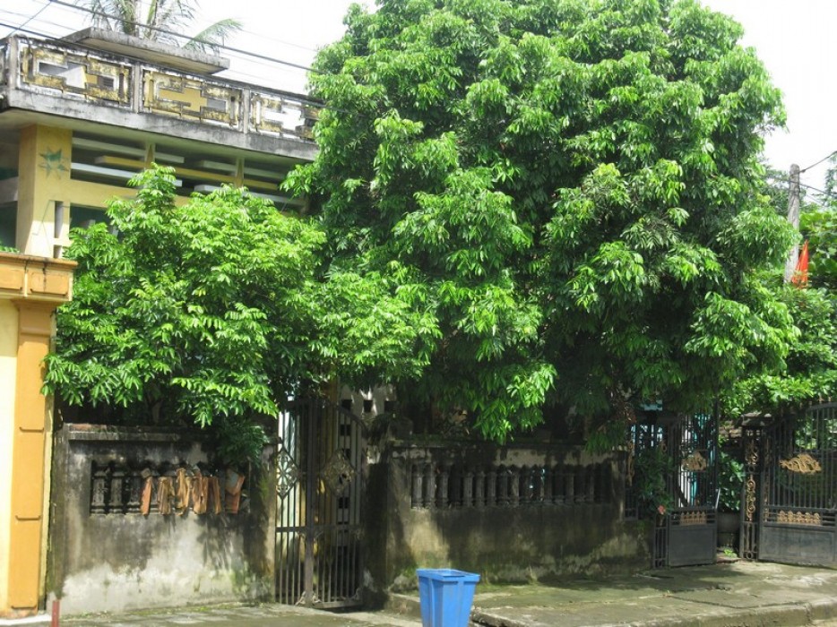 3 chi tiết trong nhà tưởng vô hại nhưng khiến tài vận cứ trôi đi - Ảnh 1. 3 chi tiết trong nhà tưởng vô hại nhưng khiến tài vận cứ trôi đi - Ảnh 1.