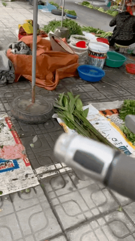 phac-cut-to-ngong-rau-bong-bong-3-1760589146177268738685.gif