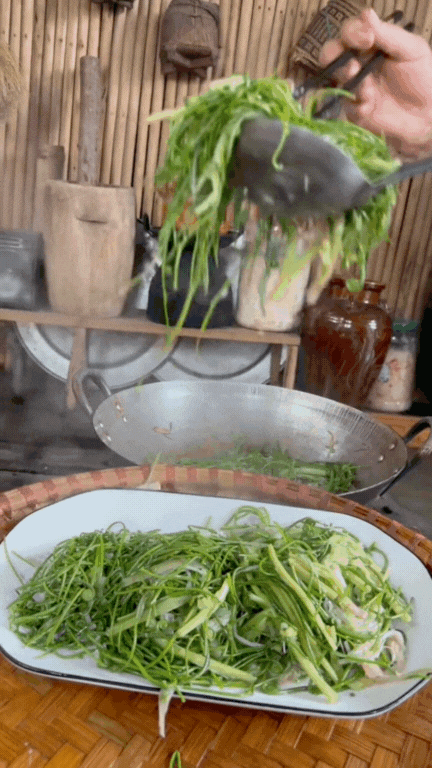 phac-cut-to-ngong-rau-bong-bong-8-17605891461481685550231.gif