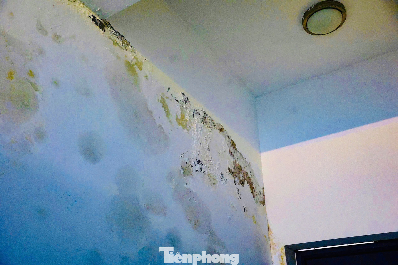 Trường chuyên Amsterdam xuống cấp: Chi ngân sách gần trăm tỉ đồng cải tạo, chưa nghiệm thu đã bong tróc, thấm dột - Ảnh 10. Trường chuyên Amsterdam xuống cấp: Chi ngân sách gần trăm tỉ đồng cải tạo, chưa nghiệm thu đã bong tróc, thấm dột - Ảnh 10.
