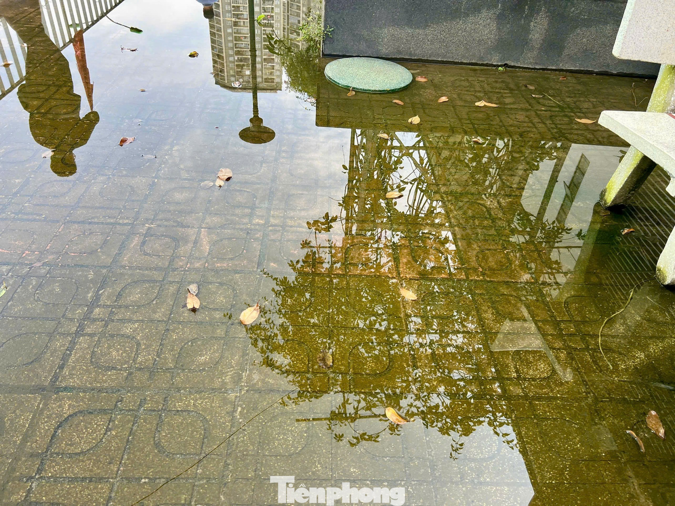 Trường chuyên Amsterdam xuống cấp: Chi ngân sách gần trăm tỉ đồng cải tạo, chưa nghiệm thu đã bong tróc, thấm dột - Ảnh 12. Trường chuyên Amsterdam xuống cấp: Chi ngân sách gần trăm tỉ đồng cải tạo, chưa nghiệm thu đã bong tróc, thấm dột - Ảnh 12.