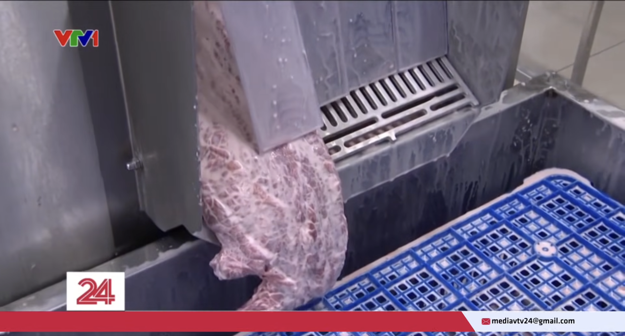 Cận cảnh quá trình bơm tinh chất “hô biến” thịt trâu đã giết mổ cả năm thành bò Wagyu thượng hạng - Ảnh 3. Cận cảnh quá trình bơm tinh chất “hô biến” thịt trâu đã giết mổ cả năm thành bò Wagyu thượng hạng - Ảnh 3.