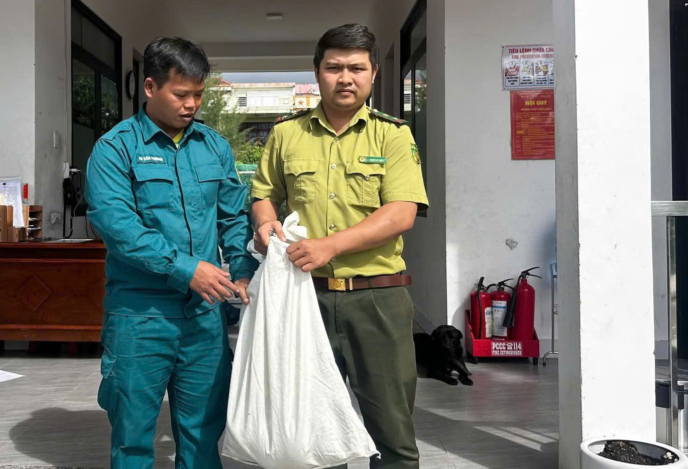 Trăn dài 3m lạc vào khu dân cư ở Đà Nẵng gây xôn xao cộng đồng - Ảnh 2. Trăn dài 3m lạc vào khu dân cư ở Đà Nẵng gây xôn xao cộng đồng - Ảnh 2.