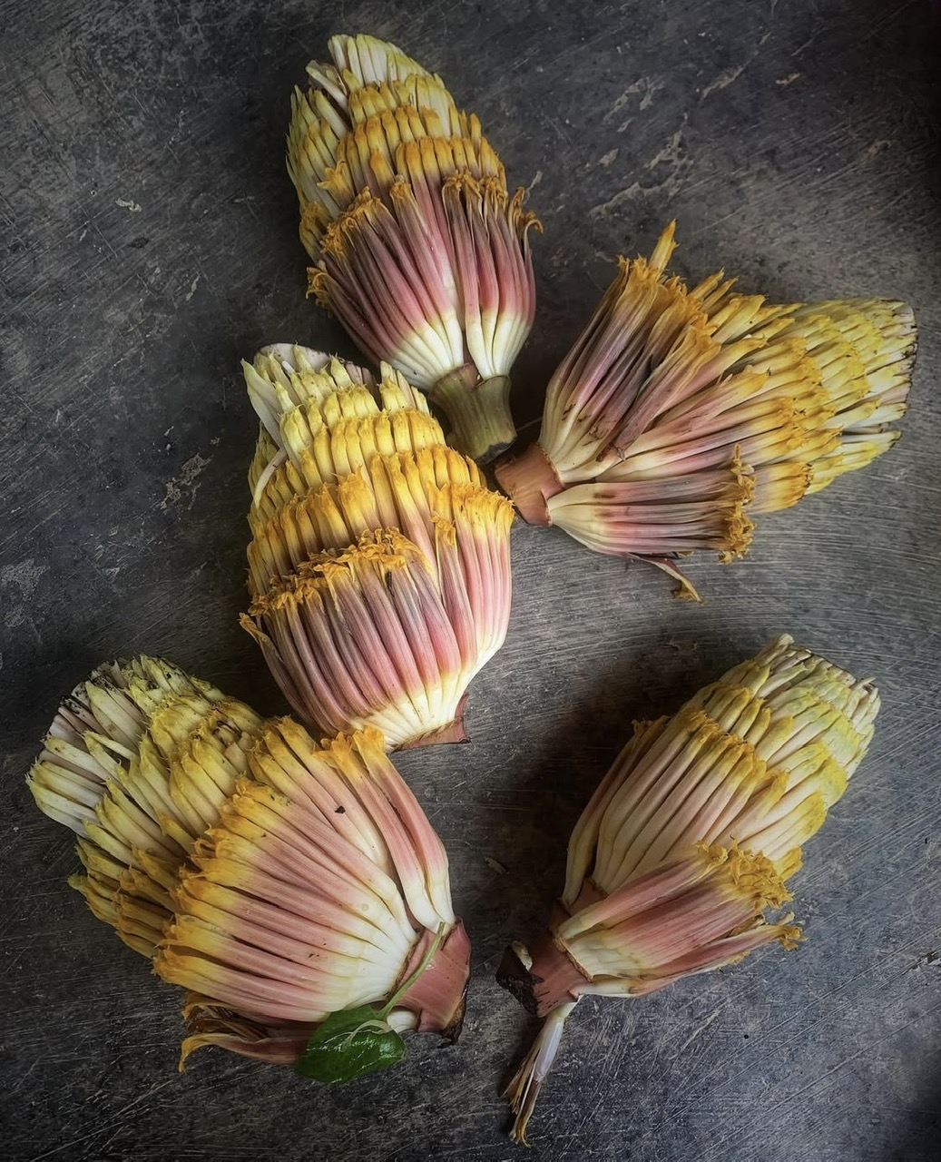 Thú vị món ăn thực dưỡng từ vườn nhà - Ảnh 3. Thú vị món ăn thực dưỡng từ vườn nhà - Ảnh 2.