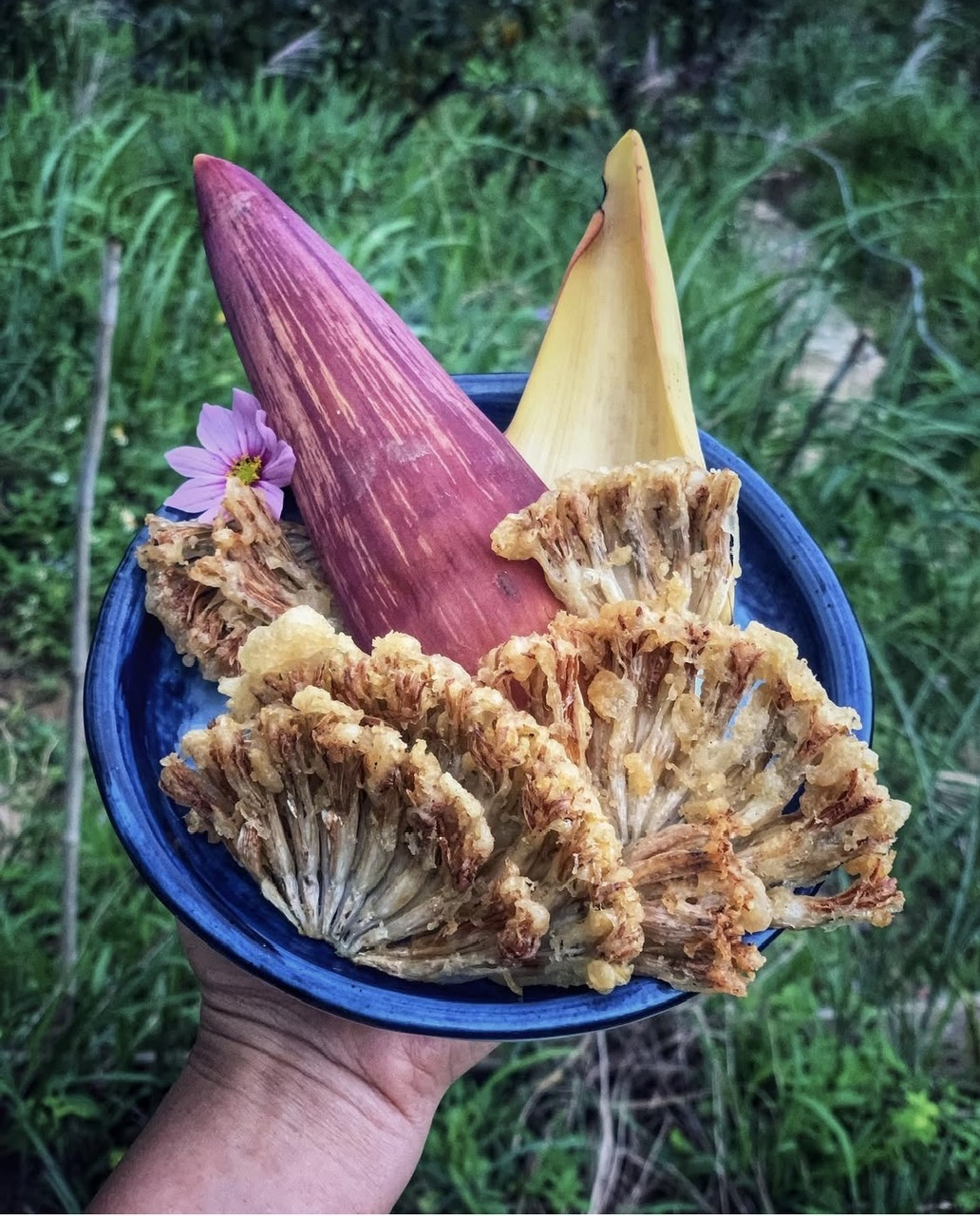 Thú vị món ăn thực dưỡng từ vườn nhà - Ảnh 4. Thú vị món ăn thực dưỡng từ vườn nhà - Ảnh 3.