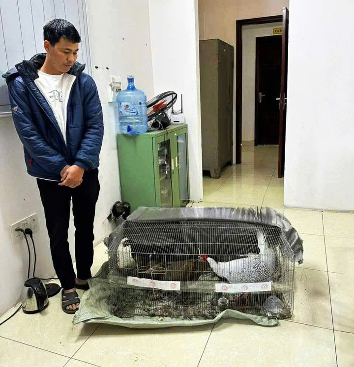 Xét xử phúc thẩm bị cáo Thái Khắc Thành vụ nuôi, bán gà lôi trắng - Ảnh 3. Xét xử phúc thẩm bị cáo Thái Khắc Thành vụ nuôi, bán gà lôi trắng - Ảnh 3.