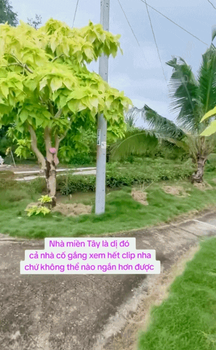 chrome-capture-2025-10-18-17607764914531733442720.gif
