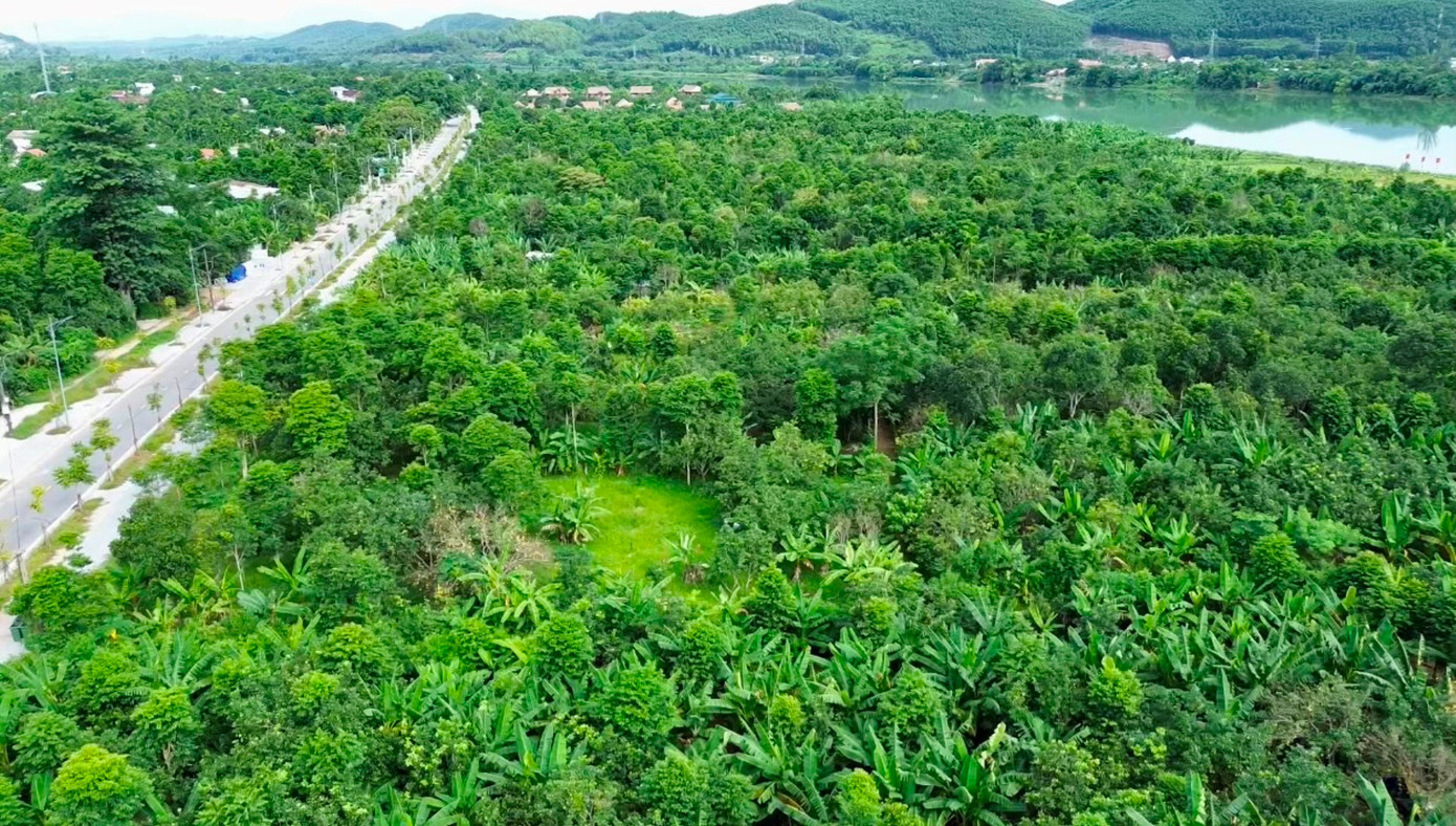 Huế vào mùa quả ngọt thanh, ruột giòn, hương thơm không nơi nào có - Ảnh 2. Huế vào mùa quả ngọt thanh, ruột giòn, hương thơm không nơi nào có - Ảnh 2.
