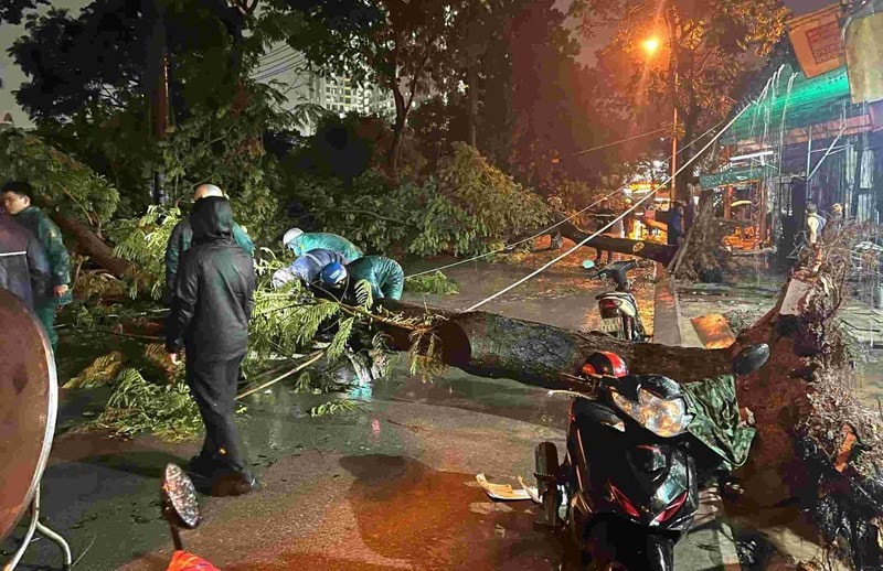 TP.HCM: 2 bà cháu bị cây xanh bật gốc đè trúng giữa trời mưa - Ảnh 2.