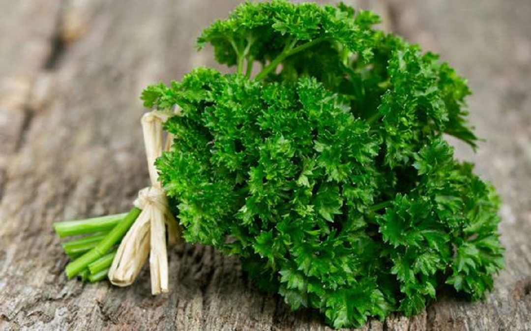 Mỹ đánh giá &quot;rau tốt nhất thế giới&quot;, hóa ra là rau quen thuộc giá rẻ ở chợ Việt - Ảnh 3.