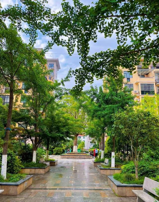 48 tuổi, tôi rời căn hộ cao tầng để sống ở khu chung cư cũ - và bất ngờ tìm lại hạnh phúc thật sự - Ảnh 3. 48 tuổi, tôi rời căn hộ cao tầng để sống ở khu chung cư cũ - và bất ngờ tìm lại hạnh phúc thật sự - Ảnh 3.