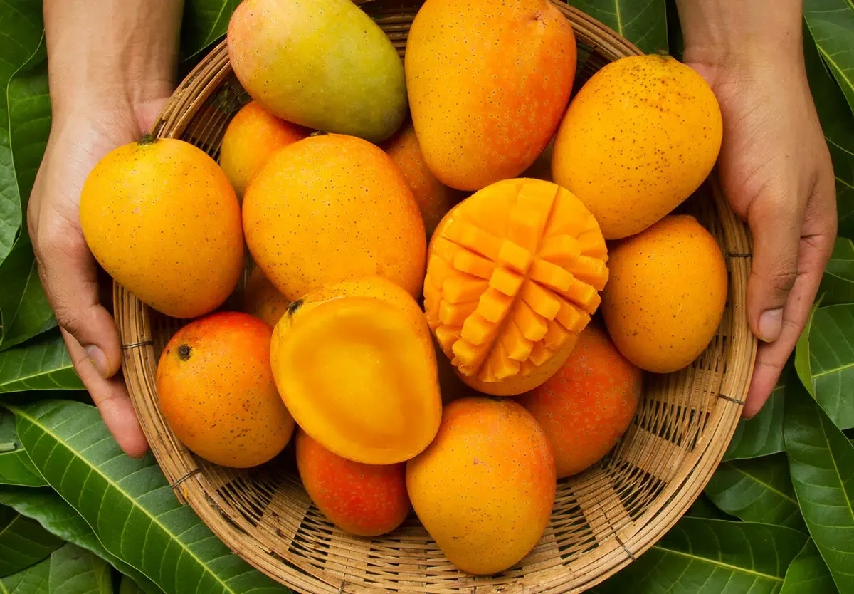 mango-1760972861722-17609728668661768670552.jpg