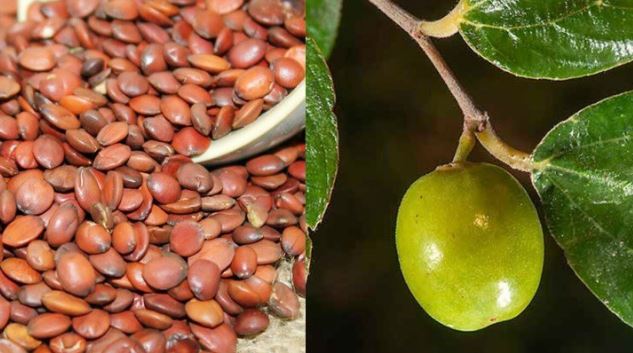 Thứ 90% người Việt bỏ đi không ngờ là "mỏ vàng", giá hơn 2 triệu đồng/kg - Ảnh 1. Thứ 90% người Việt bỏ đi không ngờ là "mỏ vàng", giá hơn 2 triệu đồng/kg - Ảnh 1.