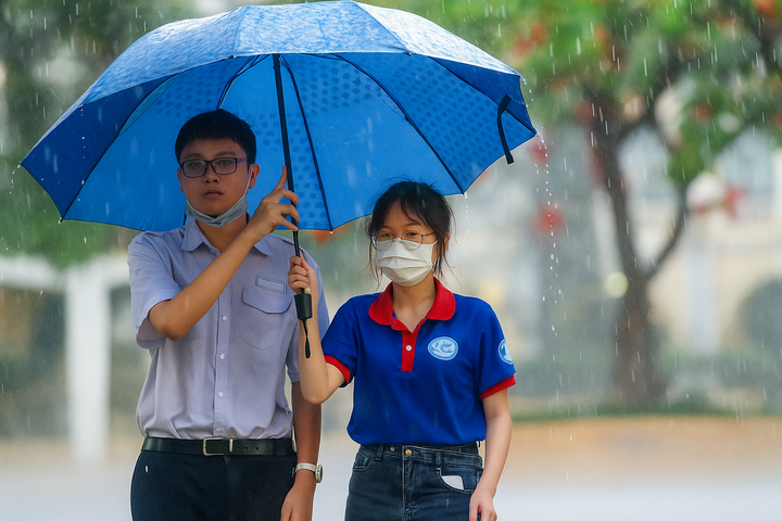 Các địa phương lên phương án cho học sinh nghỉ, học trực tuyến ứng phó bão số 12 - Ảnh 1. Các địa phương lên phương án cho học sinh nghỉ, học trực tuyến ứng phó bão số 12 - Ảnh 1.