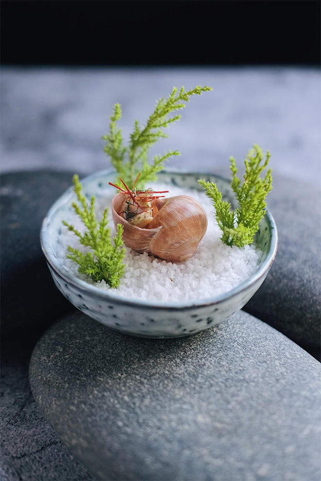 Nguyễn Đỗ Nguyệt Ánh bị truy tố cùng Tùng Dinning là ai? - Ảnh 2. Nguyễn Đỗ Nguyệt Ánh bị truy tố cùng Tùng Dinning là ai? - Ảnh 2.