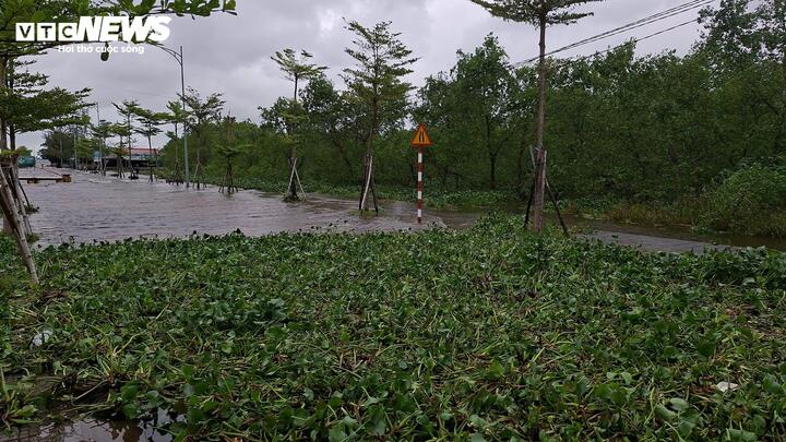 Chưa đổ bộ, bão số 12 đã gây triều cường, nhiều nơi ven phá Tam Giang ngập sâu - Ảnh 2. Chưa đổ bộ, bão số 12 đã gây triều cường, nhiều nơi ven phá Tam Giang ngập sâu - Ảnh 2.