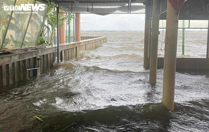 Chưa đổ bộ, bão số 12 đã gây triều cường, nhiều nơi ven phá Tam Giang ngập sâu - Ảnh 1. Chưa đổ bộ, bão số 12 đã gây triều cường, nhiều nơi ven phá Tam Giang ngập sâu - Ảnh 1.