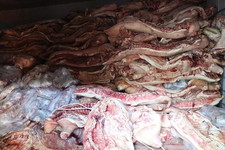 Khởi tố kẻ tích trữ gần 38 tấn thịt lợn bệnh trong kho lạnh để bán ra thị trường - Ảnh 2. Khởi tố kẻ tích trữ gần 38 tấn thịt lợn bệnh trong kho lạnh để bán ra thị trường - Ảnh 2.