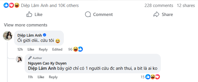 Bóng lưng mỹ nhân khiến Diệp Lâm Anh kêu cứu- Ảnh 3. Bóng lưng mỹ nhân khiến Diệp Lâm Anh kêu cứu- Ảnh 3.