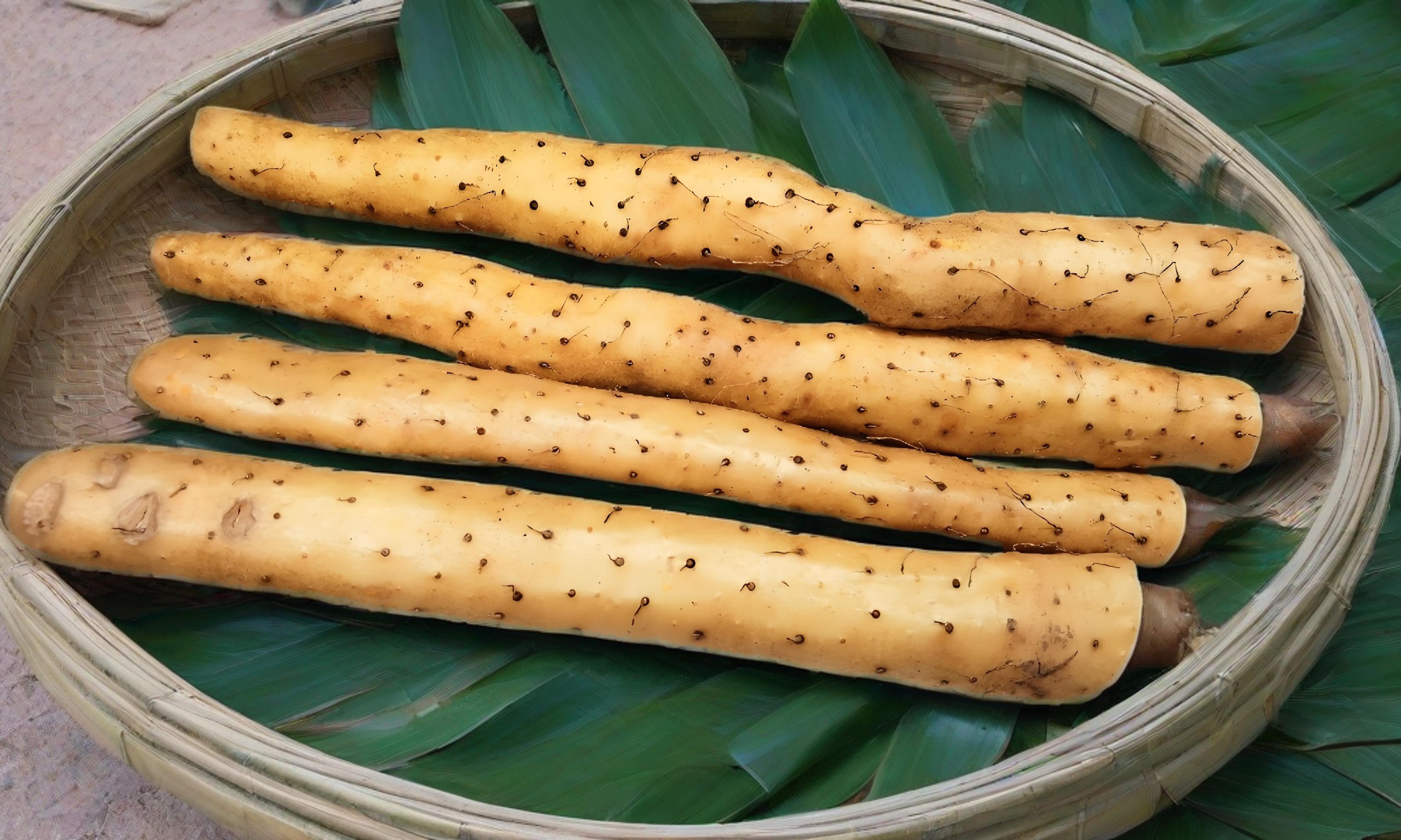Gió mùa về làm món mì từ loại củ thơm hơn khoai lang, bổ hơn khoai sọ: Ấm phổi, khỏe tỳ, ngon quên lối về - Ảnh 1. Gió mùa về làm món mì từ loại củ thơm hơn khoai lang, bổ hơn khoai sọ: Ấm phổi, khỏe tỳ, ngon quên lối về - Ảnh 1.