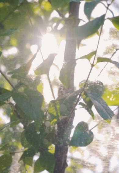 5fc14a6939064c5fb35764c63188b30etplv-tt-origin-webgif-17613262669401967002367.gif