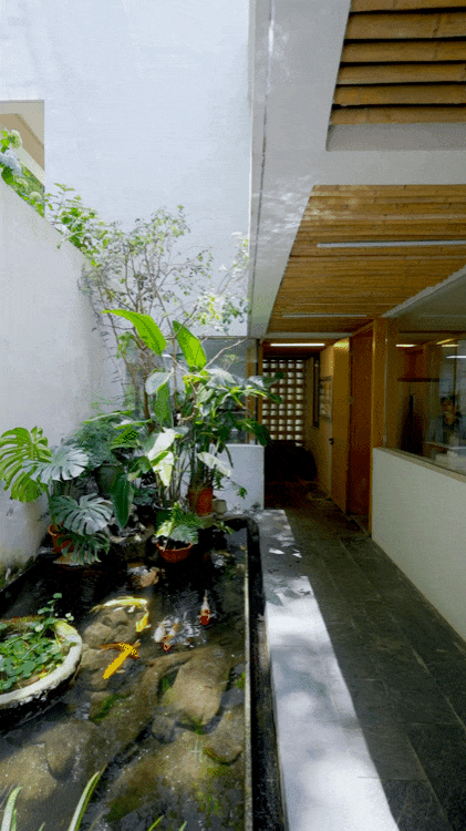 9c05fb41428a4962bcf1710976451194tplv-tt-origin-webgif-17613238108691317863096.gif