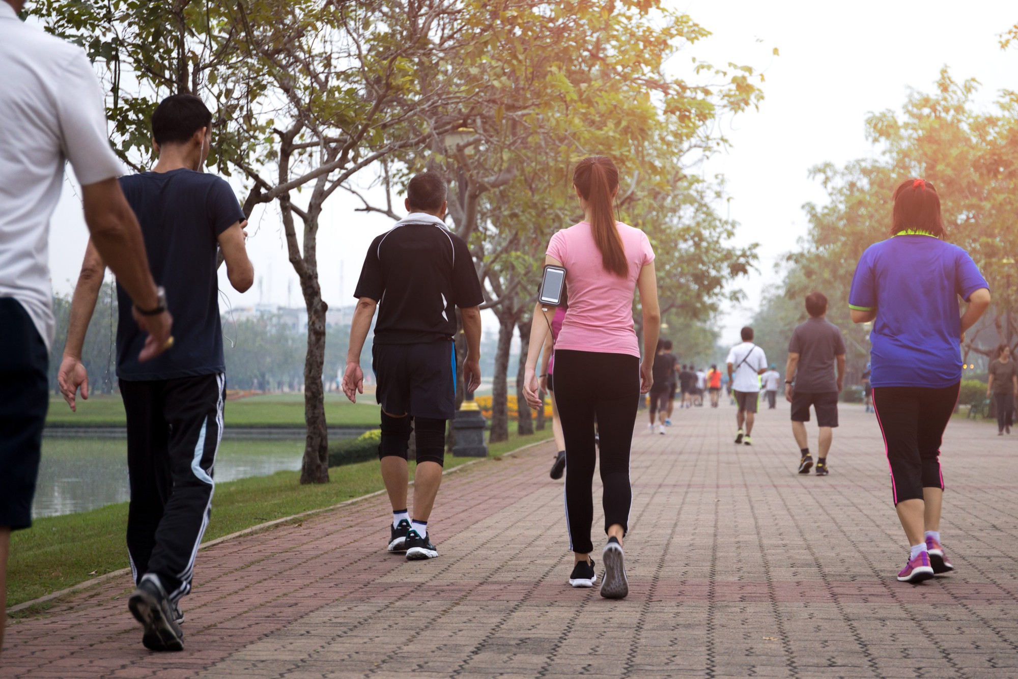 daily-walking-wff-17613140648191702291180-1761383707913-17613837082421322467468.jpeg