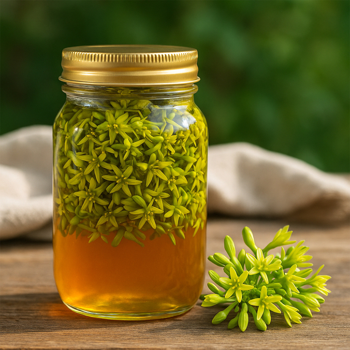Cách ngâm hoa đu đủ đực với mật ong để trị ho, viêm họng - Ảnh 1. Cách ngâm hoa đu đủ đực với mật ong để trị ho, viêm họng - Ảnh 1.