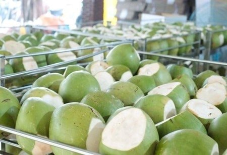 Sau sầu riêng, thêm một 'sản vật' của Việt Nam trở thành đối thủ lớn của Thái Lan: sản lượng hơn 2 triệu tấn/năm, nước ta là ông lớn thứ 7 thế giới - Ảnh 1. Sau sầu riêng, thêm một 'sản vật' của Việt Nam trở thành đối thủ lớn của Thái Lan: sản lượng hơn 2 triệu tấn/năm, nước ta là ông lớn thứ 7 thế giới - Ảnh 1.